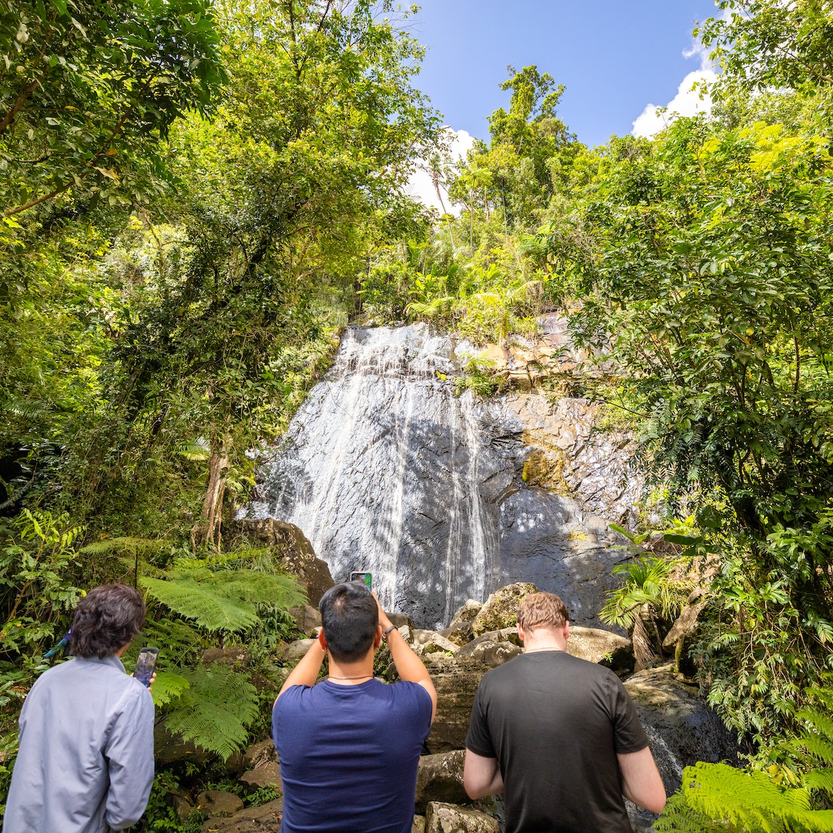 El Yunque National Forest