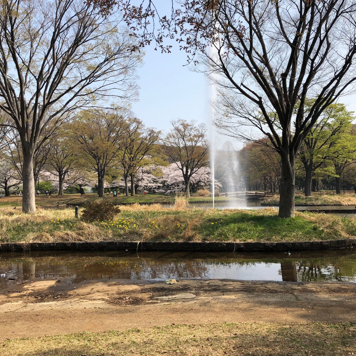 Another shot of the park, around the central fountain, Harajuku & Aoyama