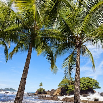 Playa Dominical, Marino Ballena national park, Pacific coast, Costa Rica.