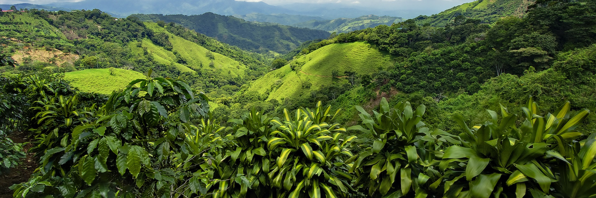 Costa Rica mountains and hillside was amazing.  view into valley was unbelievable. It was so much green for miles, and miles. cloud formation.