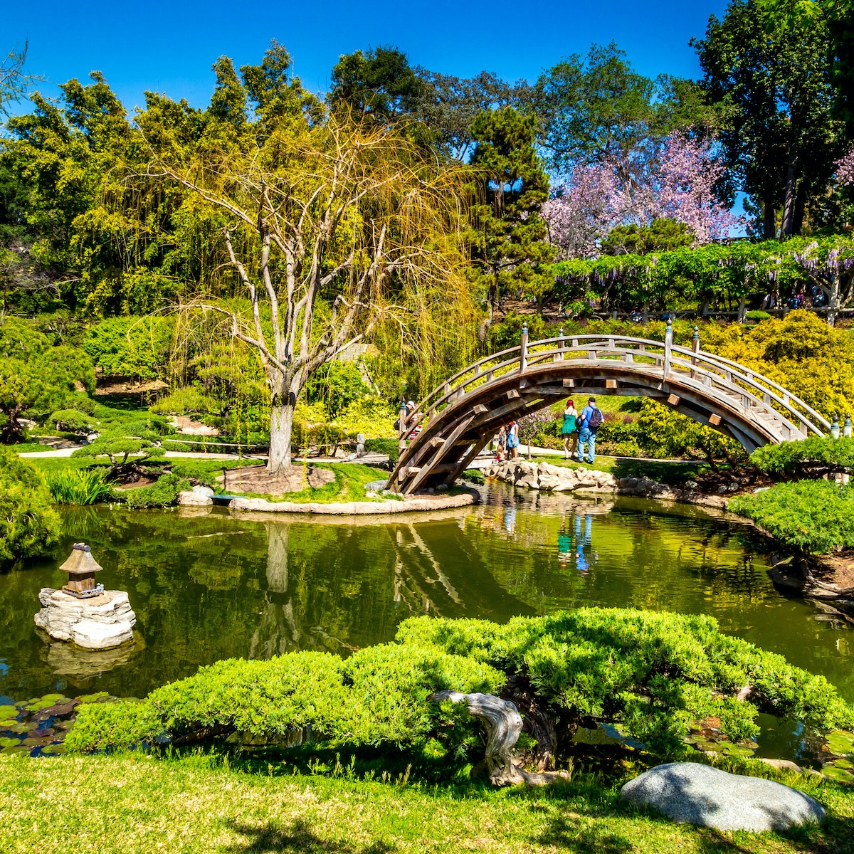 500px Photo ID: 77626027 - Japanese Garden at The Huntington Botanical Gardens and Library