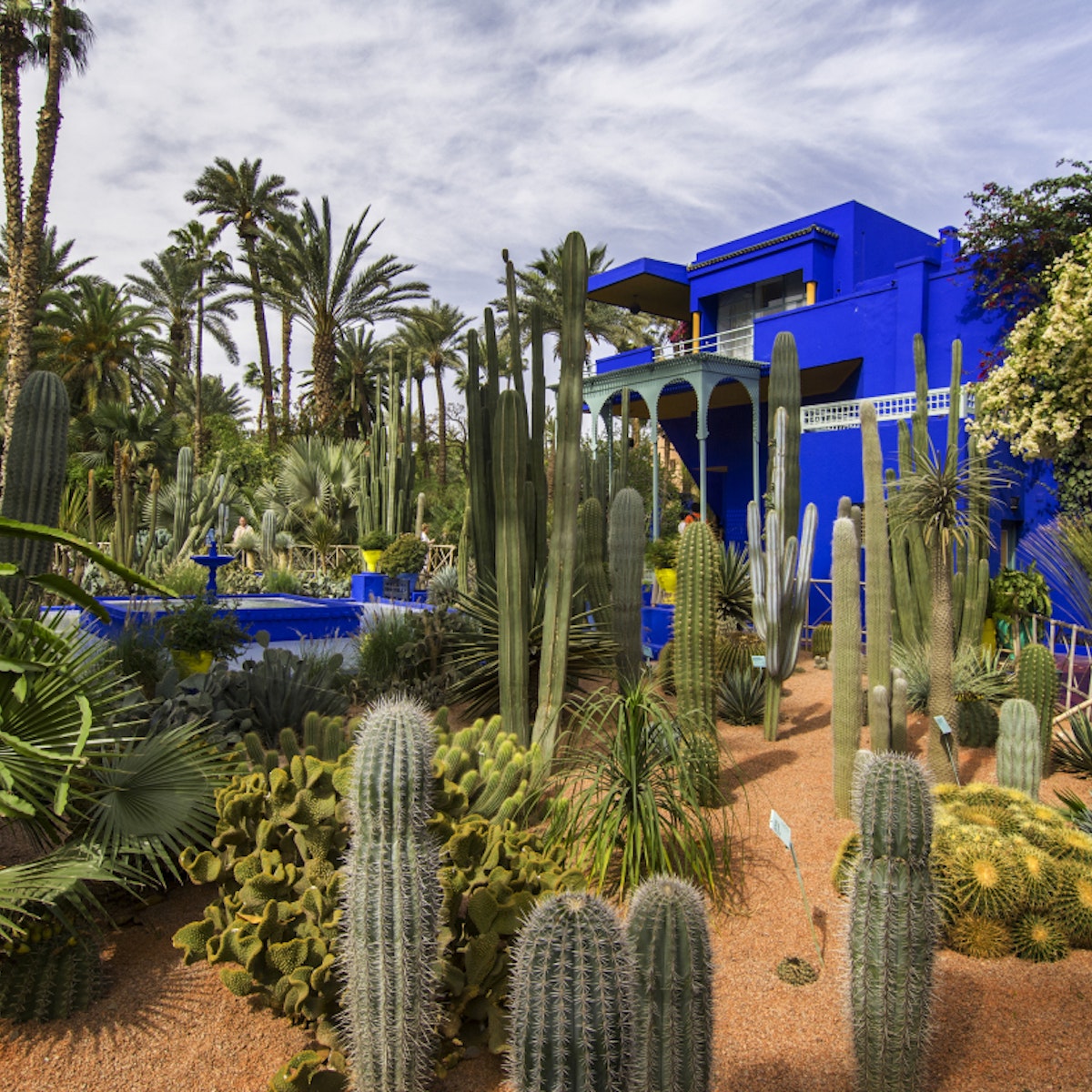 Jardin Majorelle