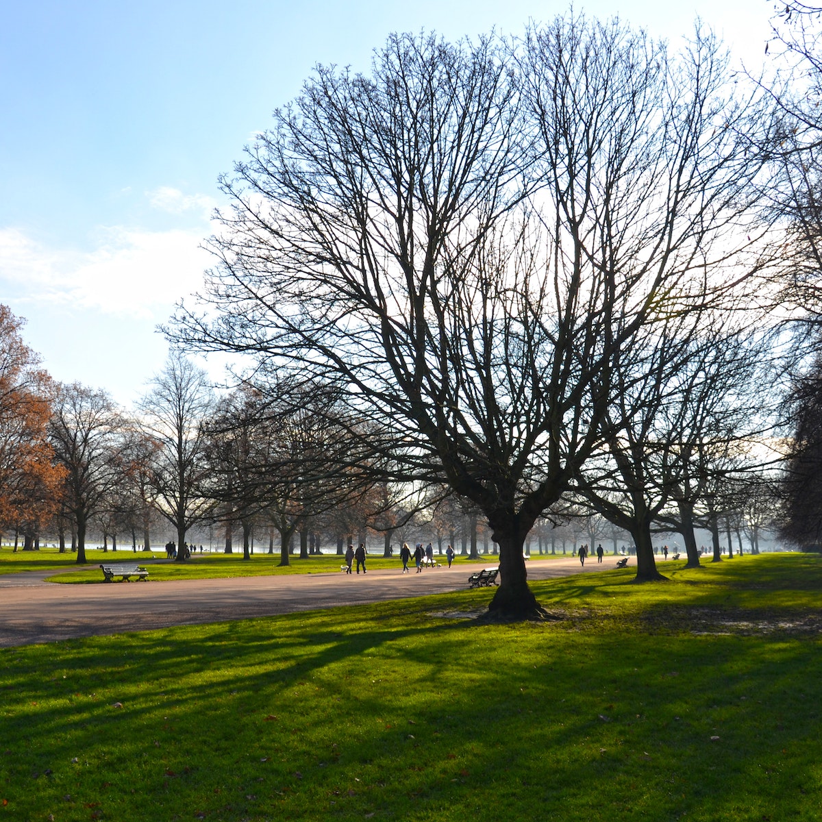 Kensington Gardens