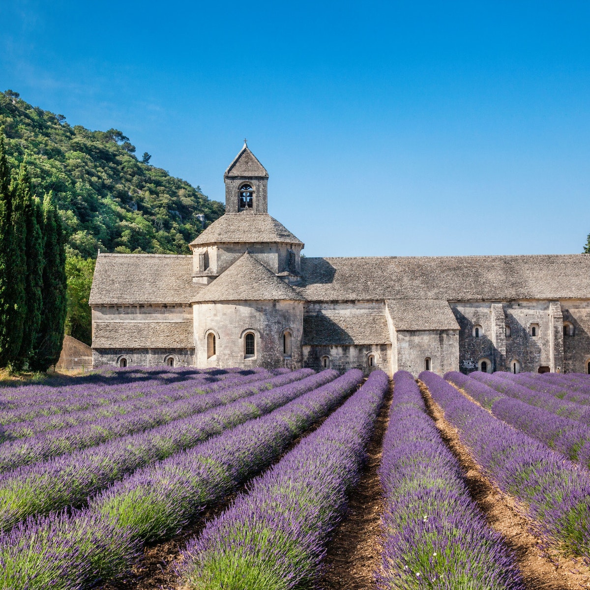 Abbaye Notre-Dame de Sénanque and lavender fields.