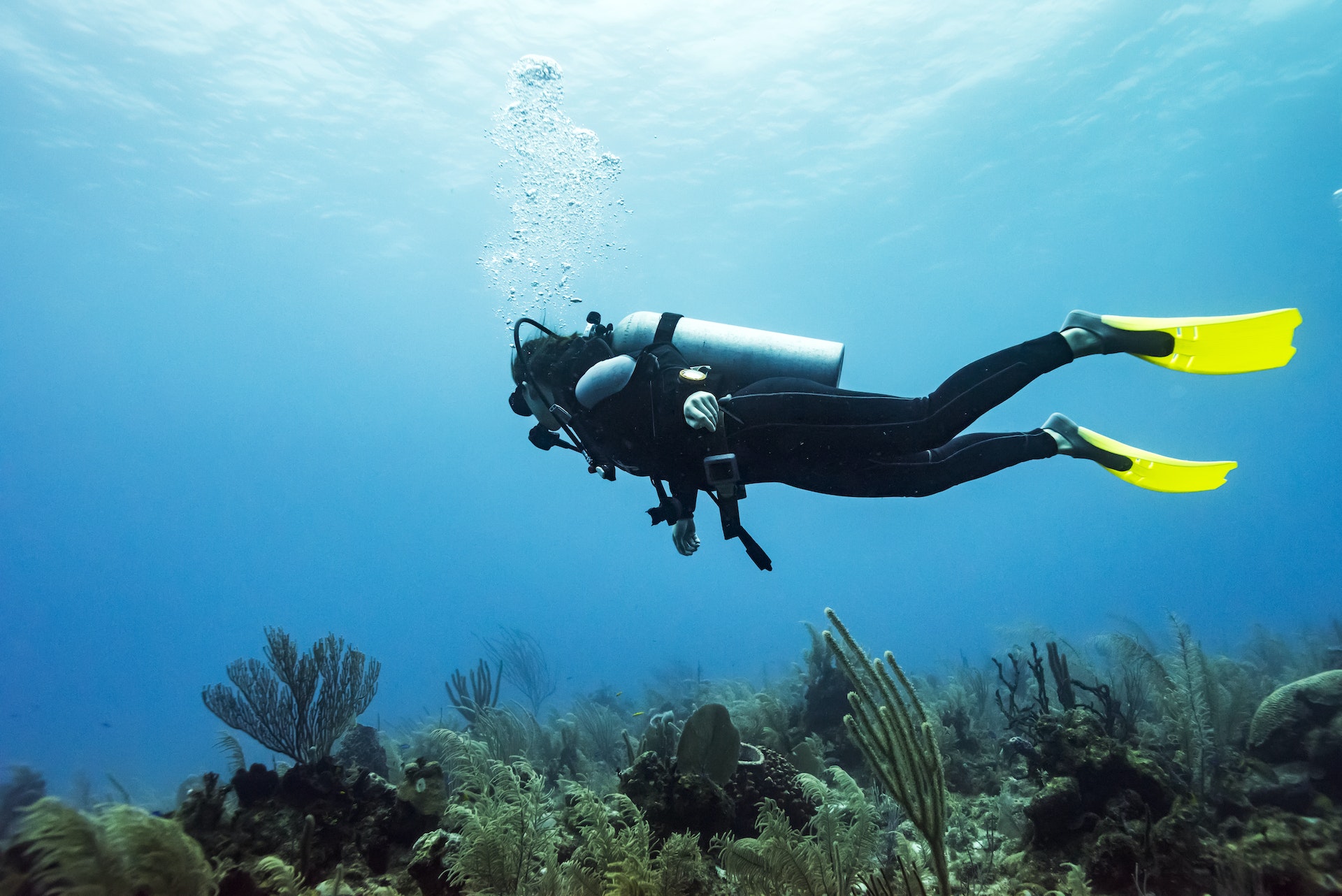 A diver swims through clear, blue waters in Belize