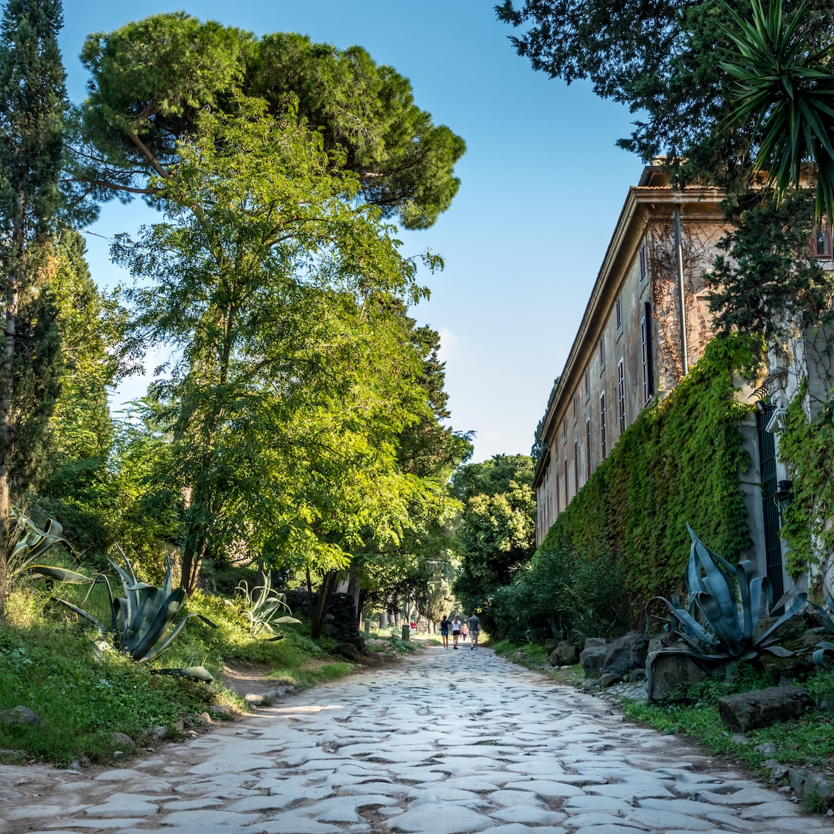 The Appian way, Via Appia Antica
1150350481
park, antica, appia, appian, beautiful, country, countryside, culture, european, historic, italian, landmark, landscape, mediterranean, outdoor, path, pine, roads, roma, rome, rural, southern, stone, transport, via, way