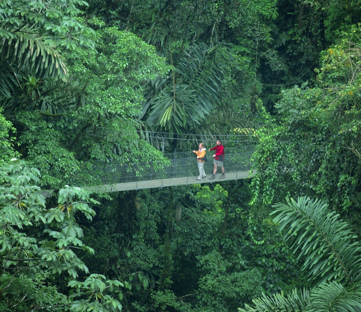 200143319-001
couple, hiking, jungle, canopy
Costa Rica, La Fortuna, Arenal Hanging Bridges