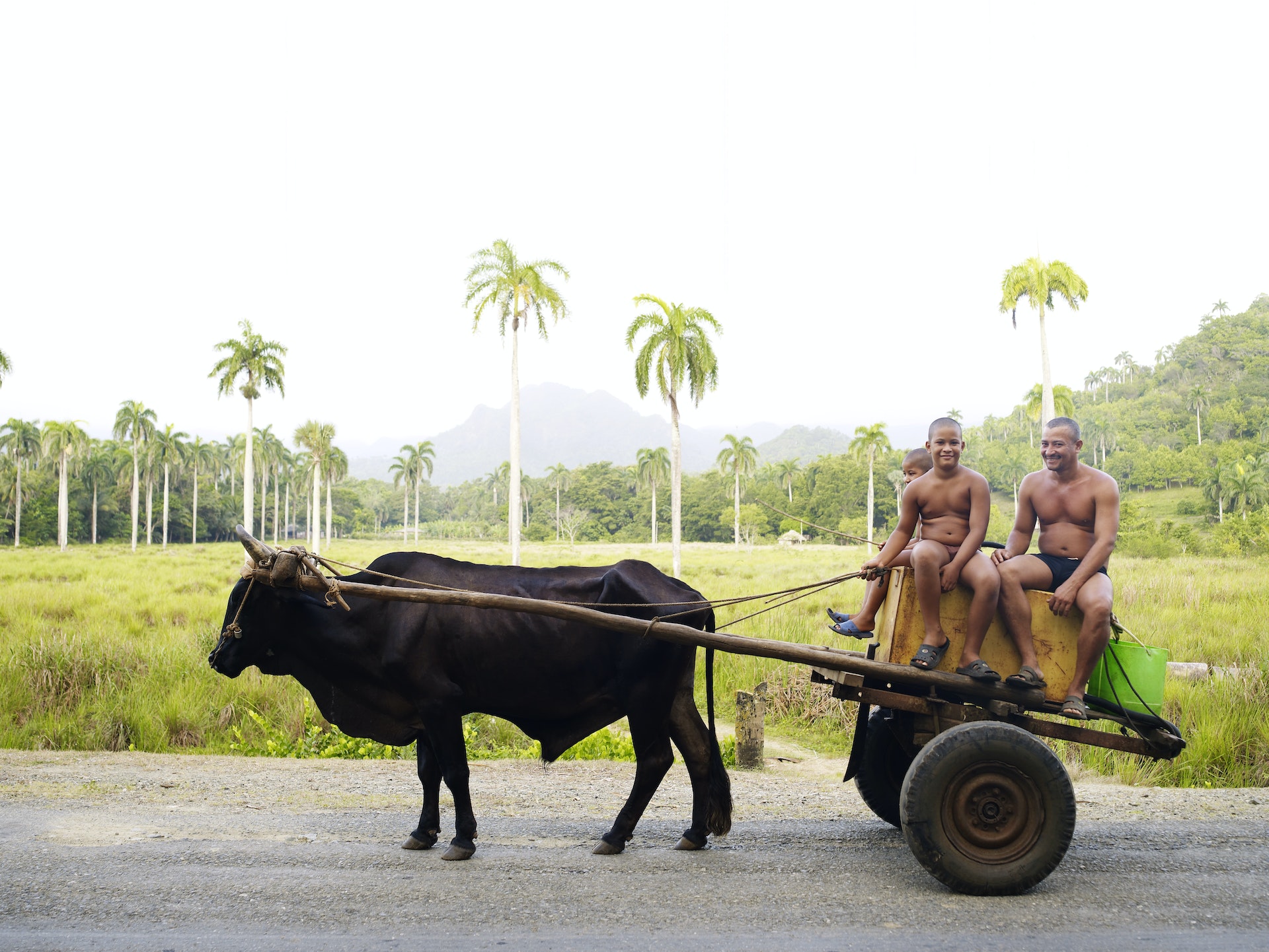 People riding ona  bullock cart on the road between Santiago de Cuba and Baracoa, Cuba