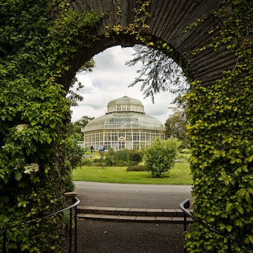 National Botanic Gardens in Dublin.