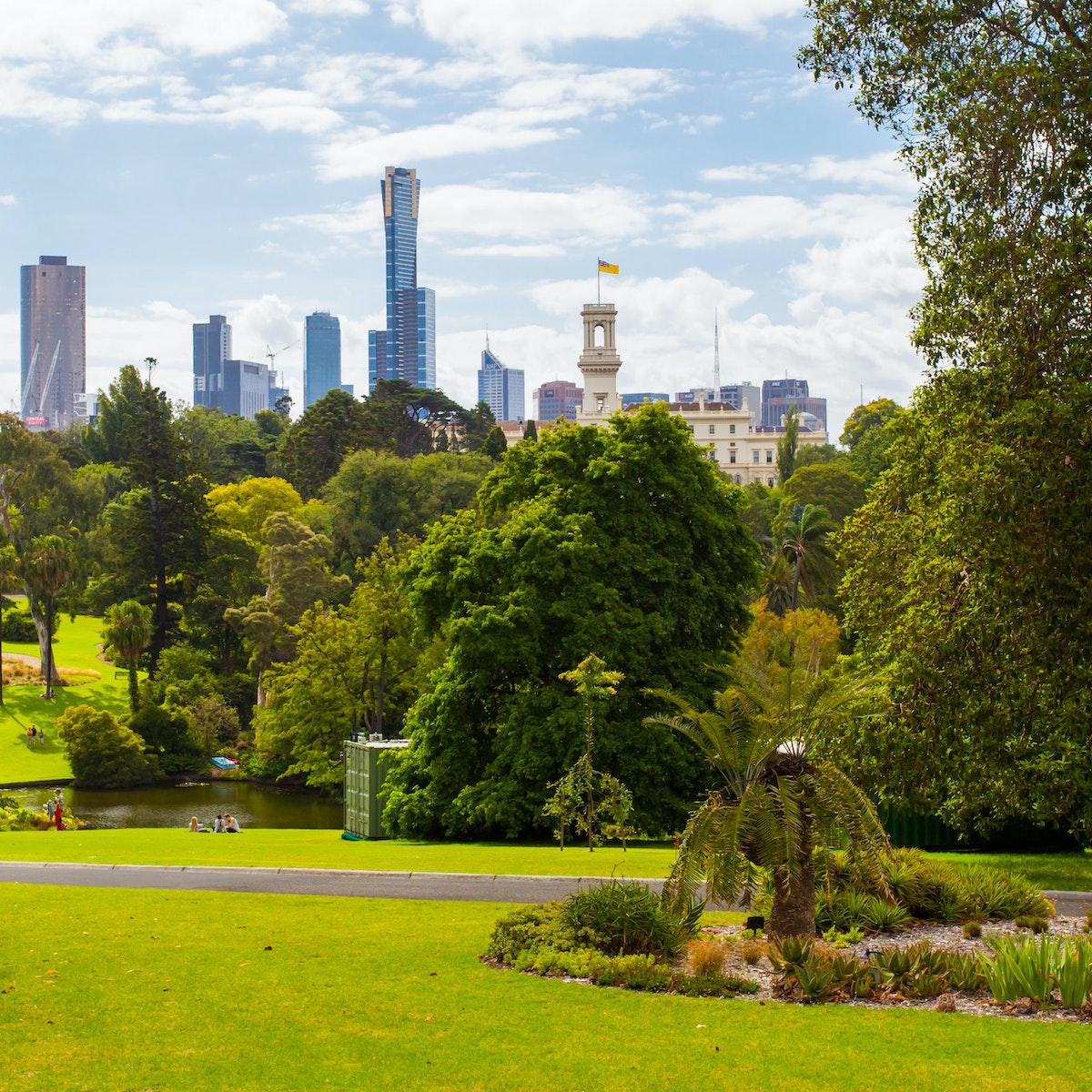 Melbourne Royal Botanical Gardens on a clear summer's day in Victoria, Australia