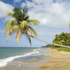 stunning_beach_st_kitts_nevis.jpg