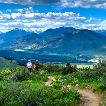 Meadows in North Cascades National Park, Winthrop, Washington.