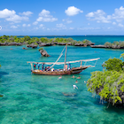 Diving in Zanzibar's teal waters